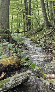 Fotografie z Grieshofer Gerlinde na trase