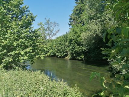 Radolfzeller Aach