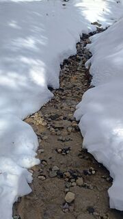 Photo de EdenRose le long du parcours