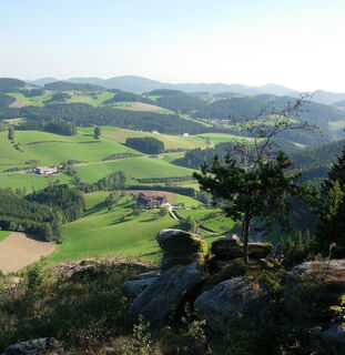 Sicht vom Wolfsberg Richtung Königswiesen