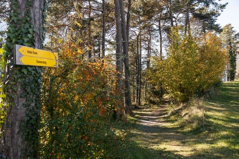 Diemersteig/Hohe Bank im Herbst