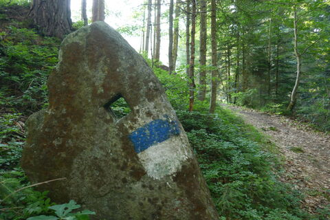 der Weg auf den Kalkstein ist gut markiert