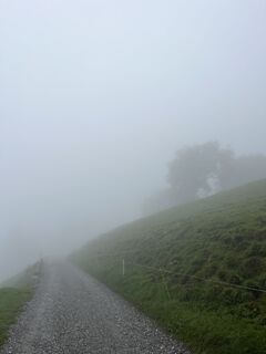 Photo from Aurelian Böhler along the tour