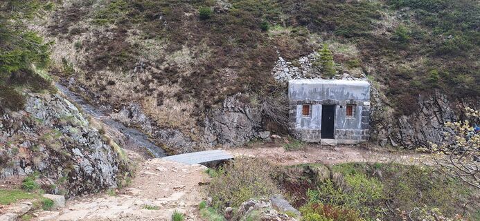 Fotografia z Hallunke Frank na trase