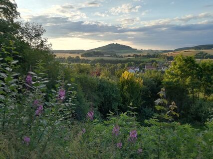 Blick vom  Burghain Naumburg zur Weidelsburg