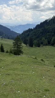 Fotografia z Werner Heidinger na trase