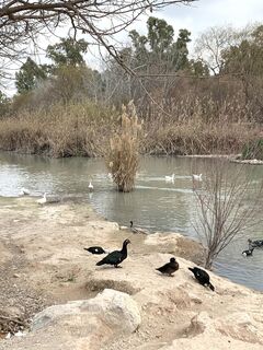 Foto de mtbler2 a lo largo del recorrido