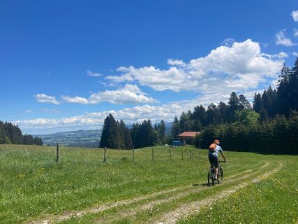 Durch die Natur in Richtung Freundpolz
