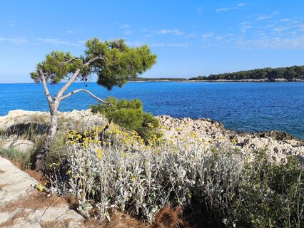 Fotografia z WilliSt na trase