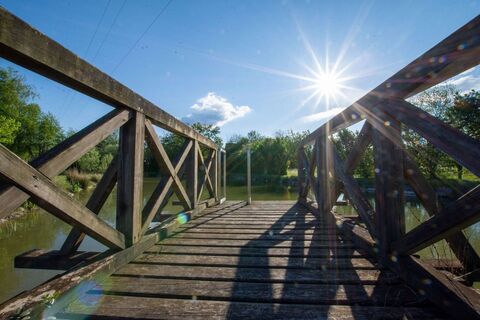 Steg beim Loimether Teich