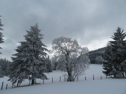 Ebenwald - Reisalpe