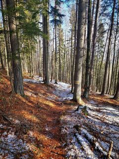 Fotografija s spletne strani 3d63 ru^^n3r na poti