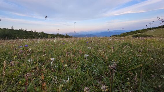 Foto fra Markus Krenn underveis på turen