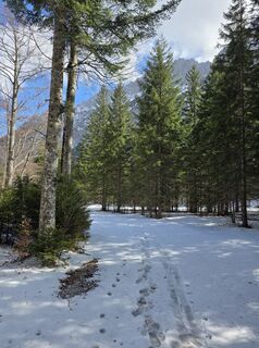 Fotografija s spletne strani Steffen Reusmann na poti