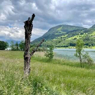 Radeln entlang des Großes Alpsees