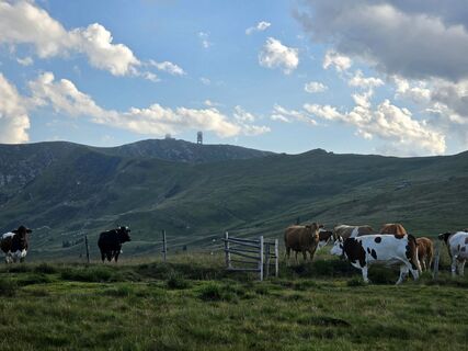 Fotografija s spletne strani MRDL na poti