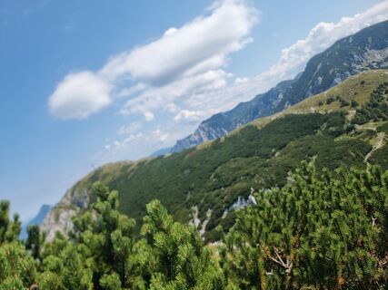 Photo de Elamelie le long du parcours