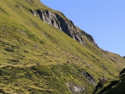 Fotografia z Walter Tinkhauser na trase