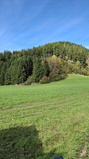 Fotografia z Monika Wirth na trase