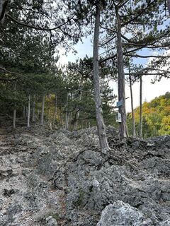 Fotografia z tjiong na trase