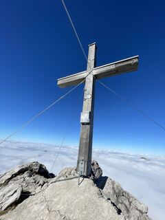 Foto från Aurelia Lehnertz under resans gång