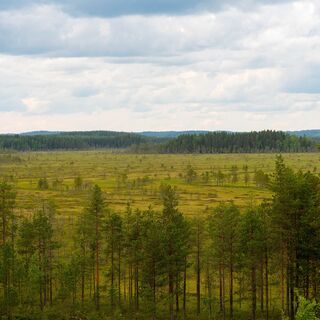 Lehmijoki-Naturpfad