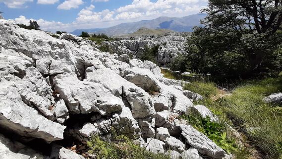 Foto von Aga M entlang der Tour