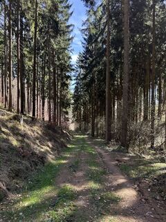 Photo de Andreas Krogmann le long du parcours