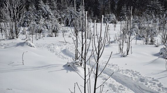 Fotografia z prager64 na trase