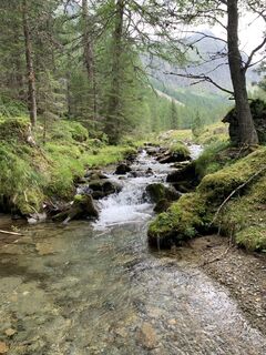 Foto fra Koen De Wit undervejs på turen