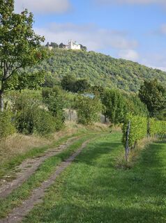 Foto da Harri Meronen lungo il tour