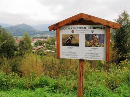 Vogellehrpfad Kehrwald