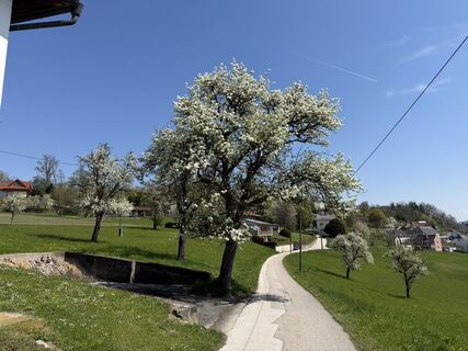 Fotografija s spletne strani Geri0811 na poti