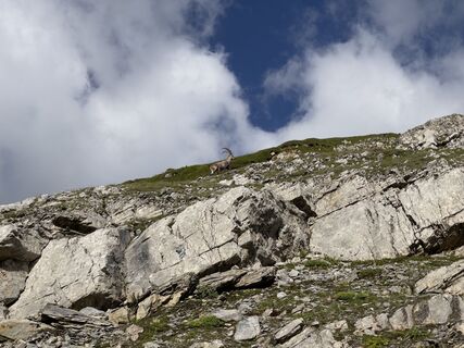 Photo de GabrielSR76 le long du parcours