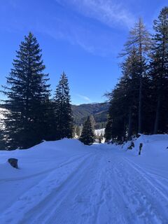 Foto von Martin Meusburger entlang der Tour
