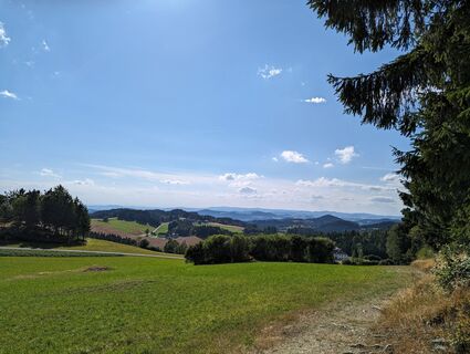 Zdjęcie z Ziegler Em1304 wzdłuż trasy