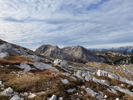 Foto von Natur_erleben_dg entlang der Tour