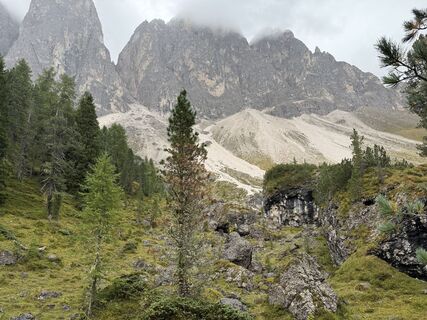Photo de Frank de Vries le long du parcours