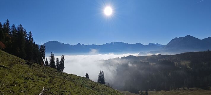 Fotografie z deniuru na trase