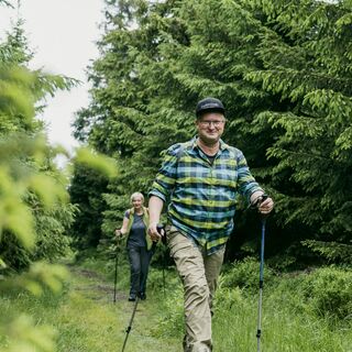 Wald soweit das Auge reicht
