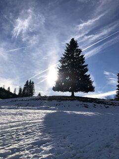 Foto von Robert.Unterlercher entlang der Tour