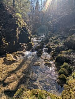 Foto da H&M lungo il tour