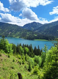 Foto von Dagmar Hofer entlang der Tour