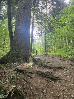 Fotografia z Whitney Dreams na trase