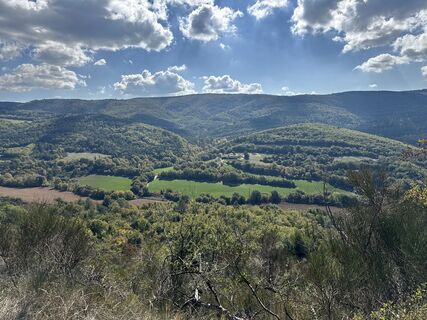 Photo de Wupper-Martin le long du parcours