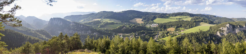 20-Schilling-Blick
