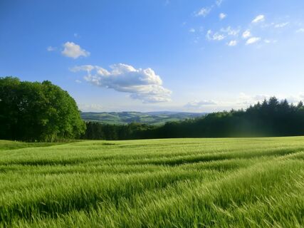 Blick in den Westen vom Potzberg