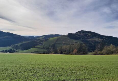 Ausblick von Piregg, Joglland-Waldheimat in der Oststeiermark