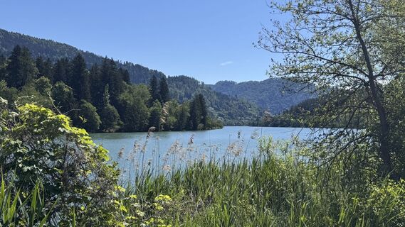 Foto von barbara malle entlang der Tour
