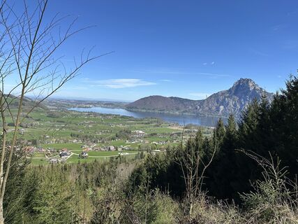 Fotografija s spletne strani Babs Holz na poti